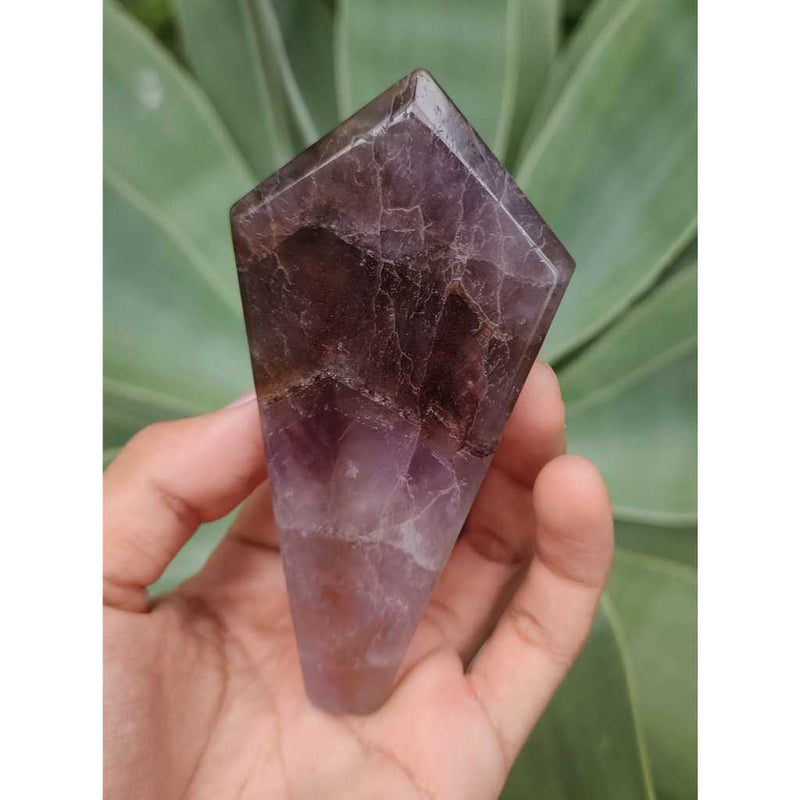 Chapa de Super Sete Cacoxonitas