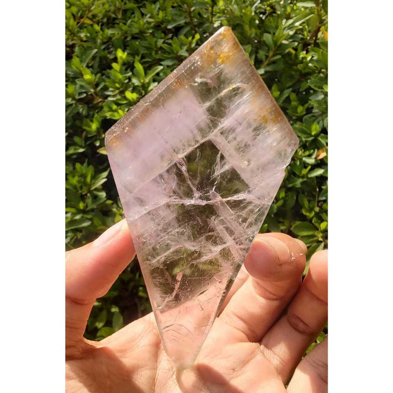 Chapa de Aurelite Red Cap - Cacoxonitas