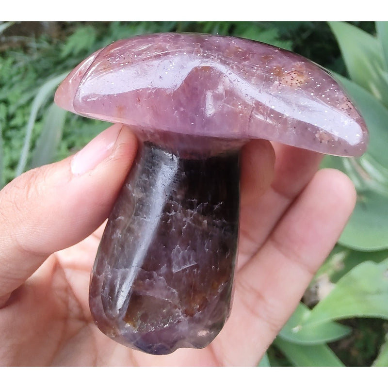 Coqueiro de Super Sete