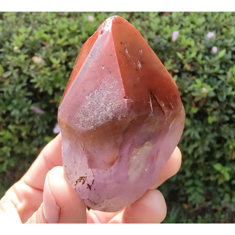 Ponta de Aurelita Red Cap Cacoxenita