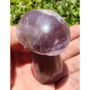 Cogumelo de Ametrino