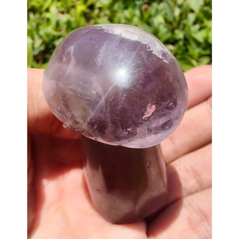 Cogumelo de Ametrino