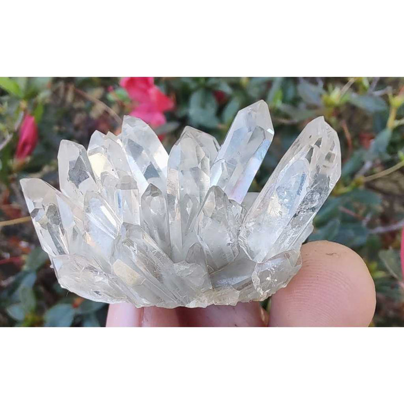 Drusa de Quartzo Branco