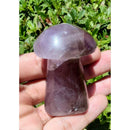 Cogumelo de Ametrino