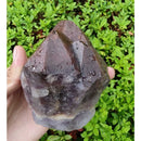 Super Seven Cacoxenites/Aurelite Red Cap - Ponta Bruta