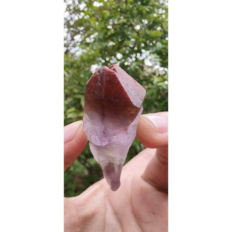 Pontinha de Aurelite Red Cap bruta