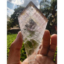 Chapa de Aurelite Red Cap - Cacoxonitas