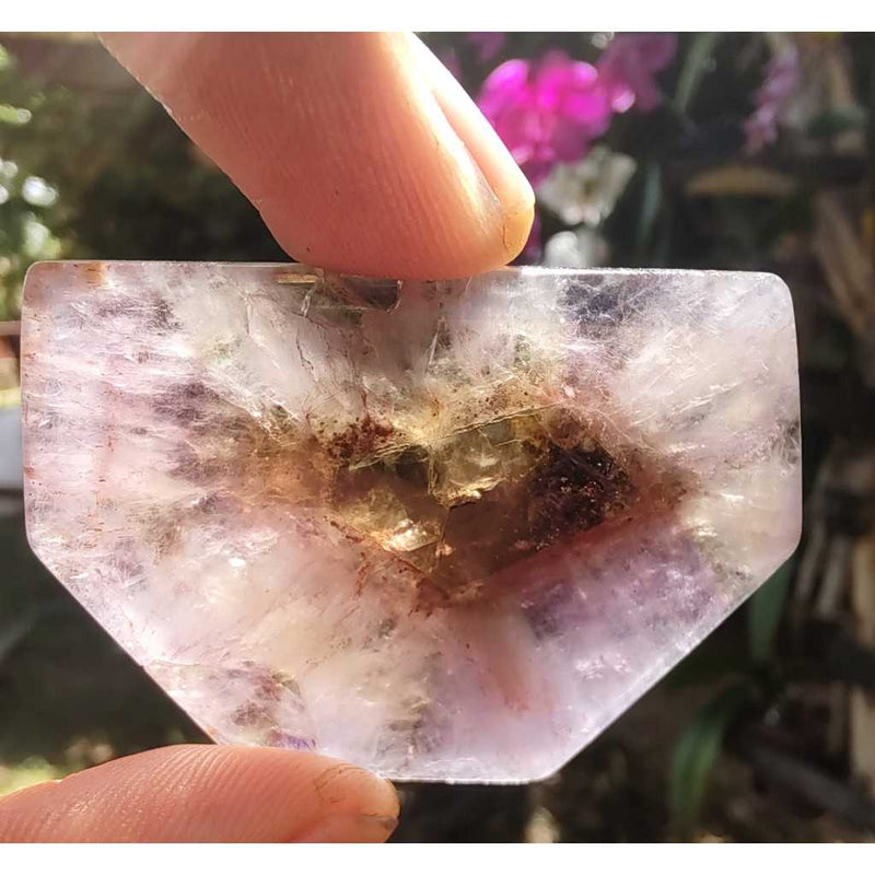 Chapa Trapiche de Ametrino