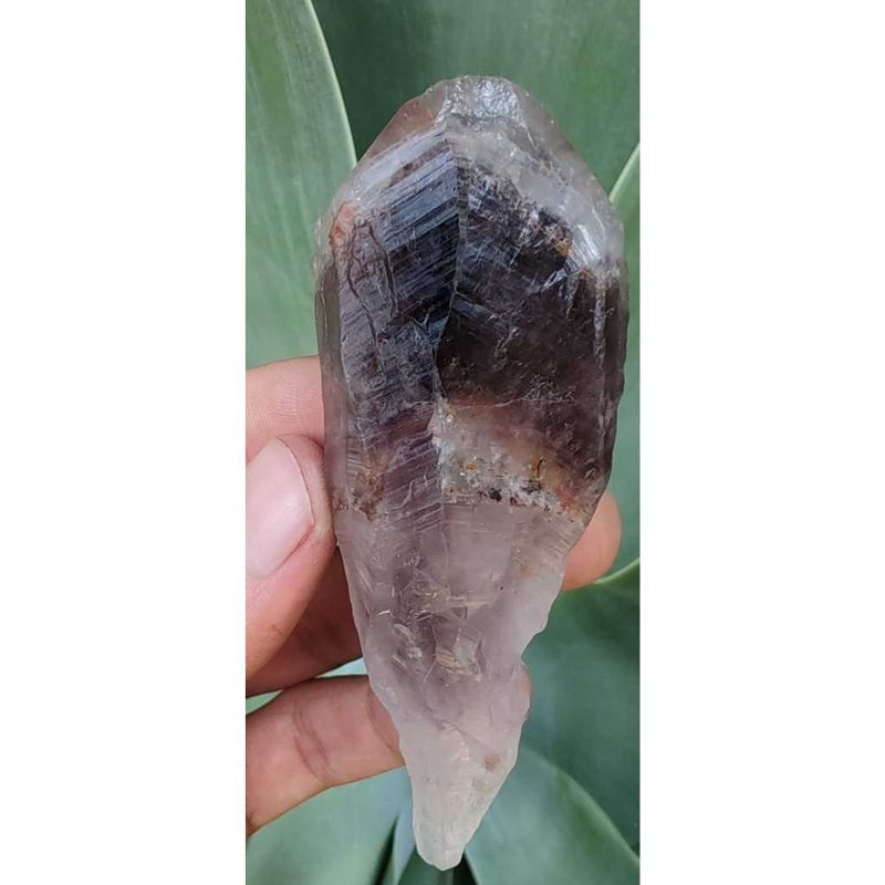 Ponta Bruta Super Sete Cacoxenites