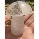 Cogumelo de lodolita verde