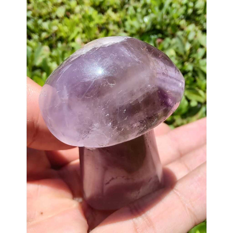 Cogumelo de Ametrino