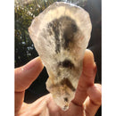 Chapa de Ametrino Cacoxonitas