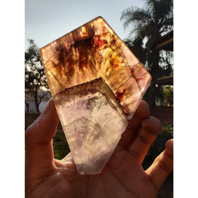 Chapa de Super Seven