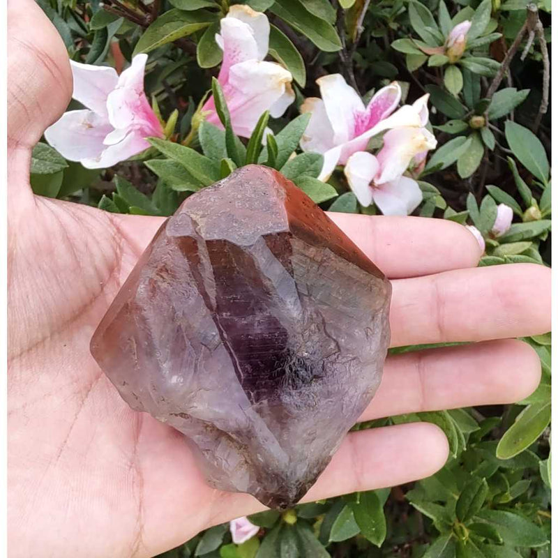 Ponta de Aurelita Red Cap Cacoxenita