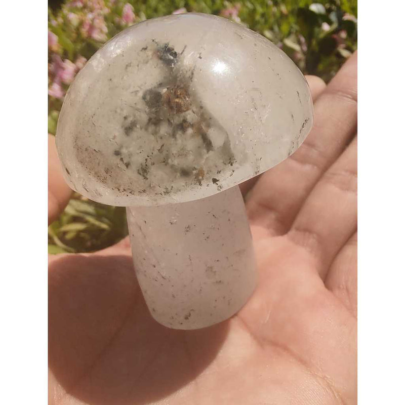 Cogumelo de lodolita verde