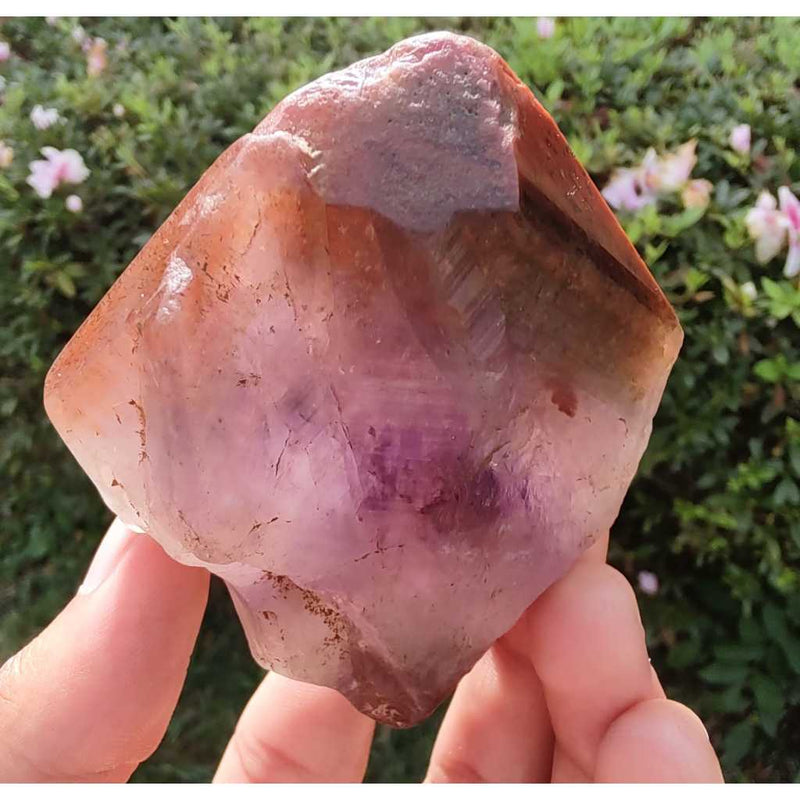 Ponta de Aurelita Red Cap Cacoxenita