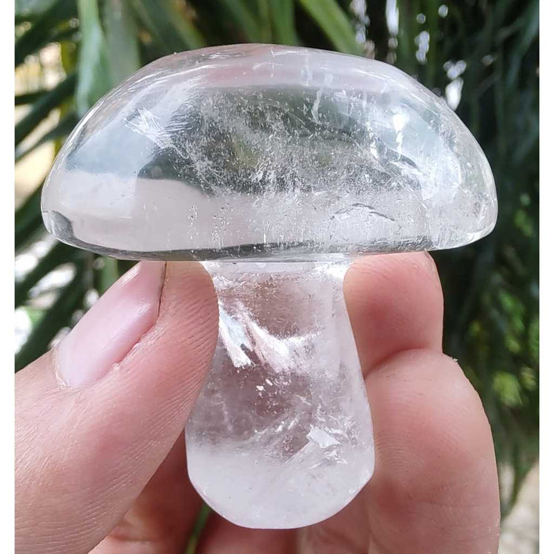 Cogumelo de Quartzo Branco