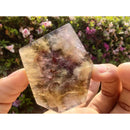 Chapa Trapiche de Ametrino