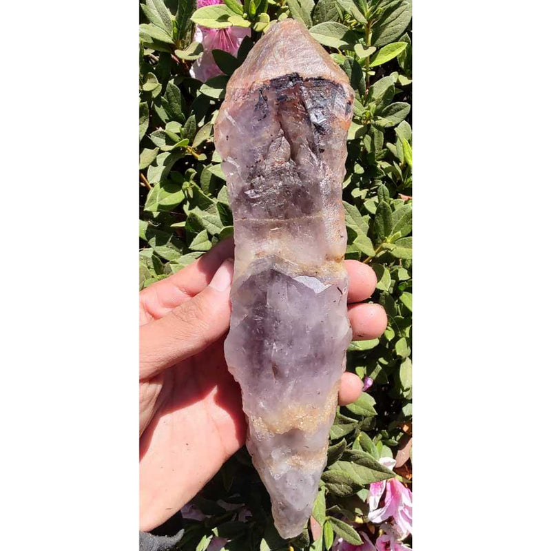 Ponta de Super Seven Bruta