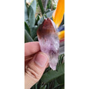 Pontinha de Aurelite Red Cap bruta