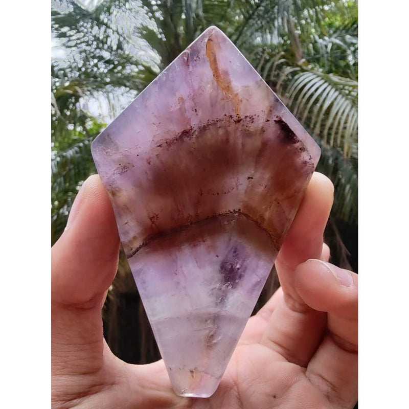 Chapa de Super Sete Cacoxonitas