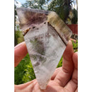 Chapa de Ametrino Super Sete