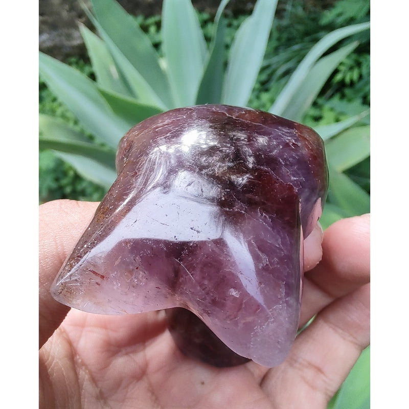 Coqueiro de Super Sete