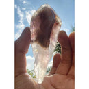 Ponta Bruta Super Sete Cacoxenites