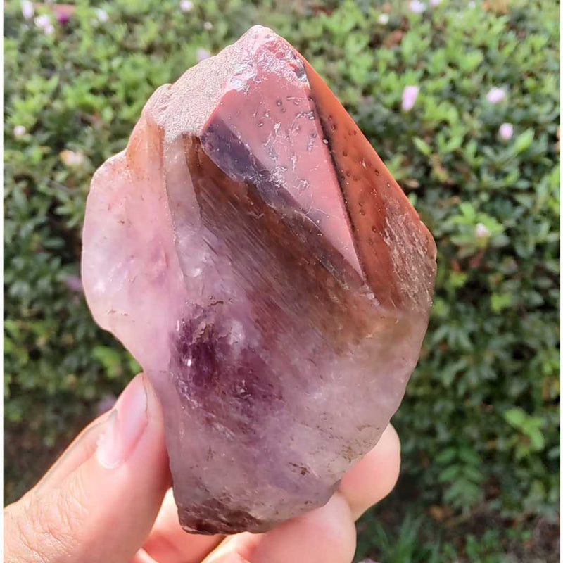 Ponta de Aurelita Red Cap Cacoxenita