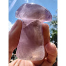 Cogumelo de Ametrino