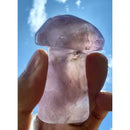 Cogumelo de Ametrino