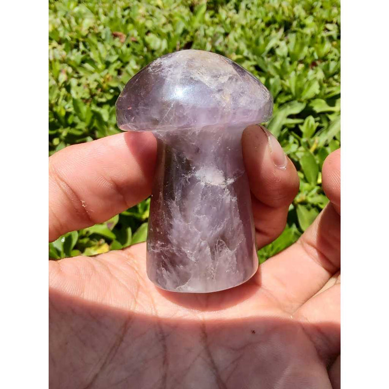 Cogumelo de Ametrino