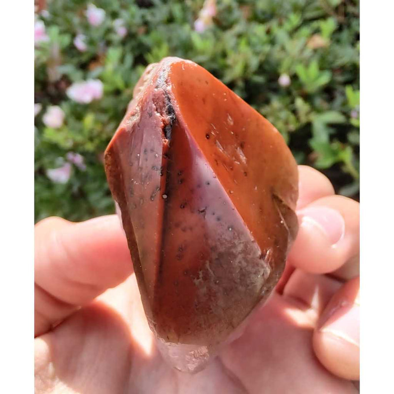 Ponta de Aurelita Red Cap Cacoxenita