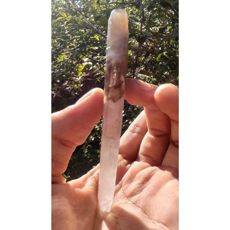 Ametrina Super Sete Cacoxenitas - Chapa