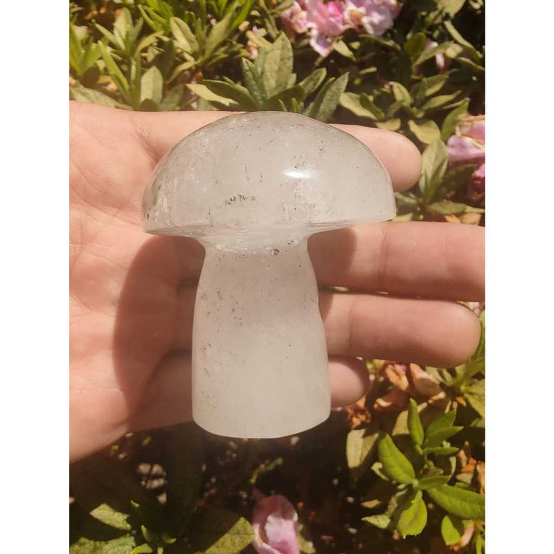 Cogumelo de lodolita verde