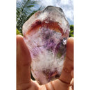 Chapa de Aurelite Red Cap