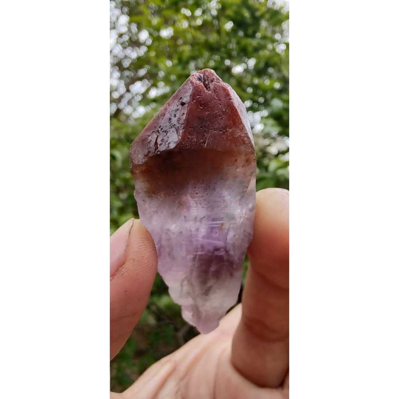 Pontinha de Aurelite Red Cap bruta