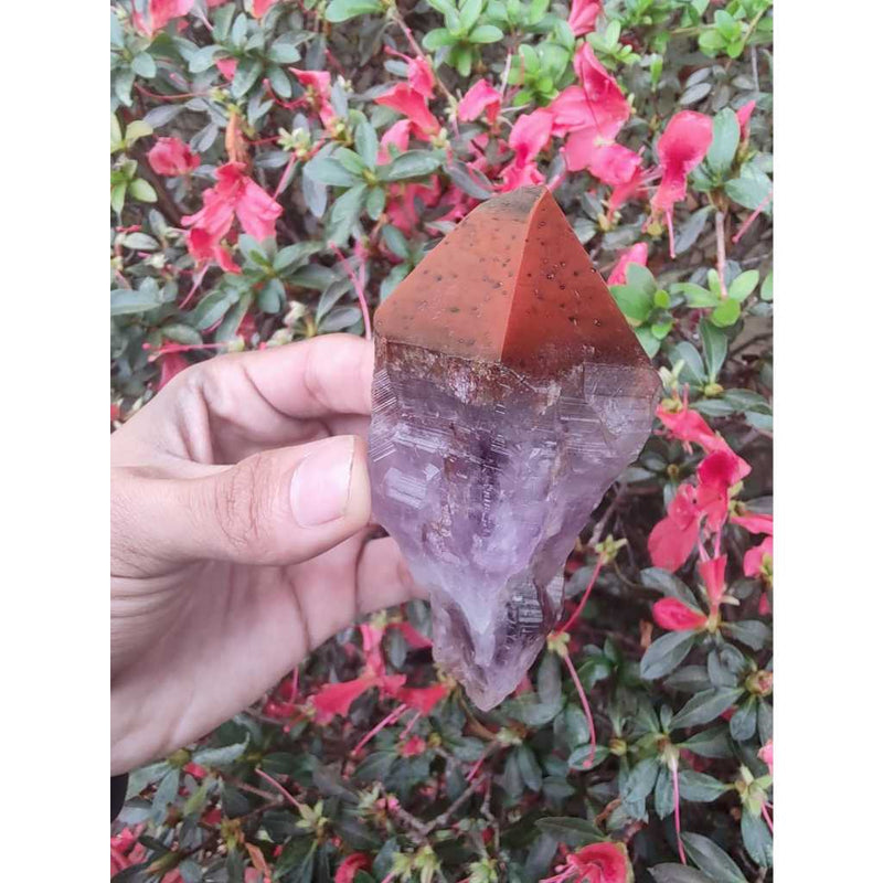 Boné Ponta de Aurelite Vermelho Semi Polida