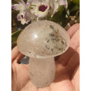 Cogumelo de lodolita verde