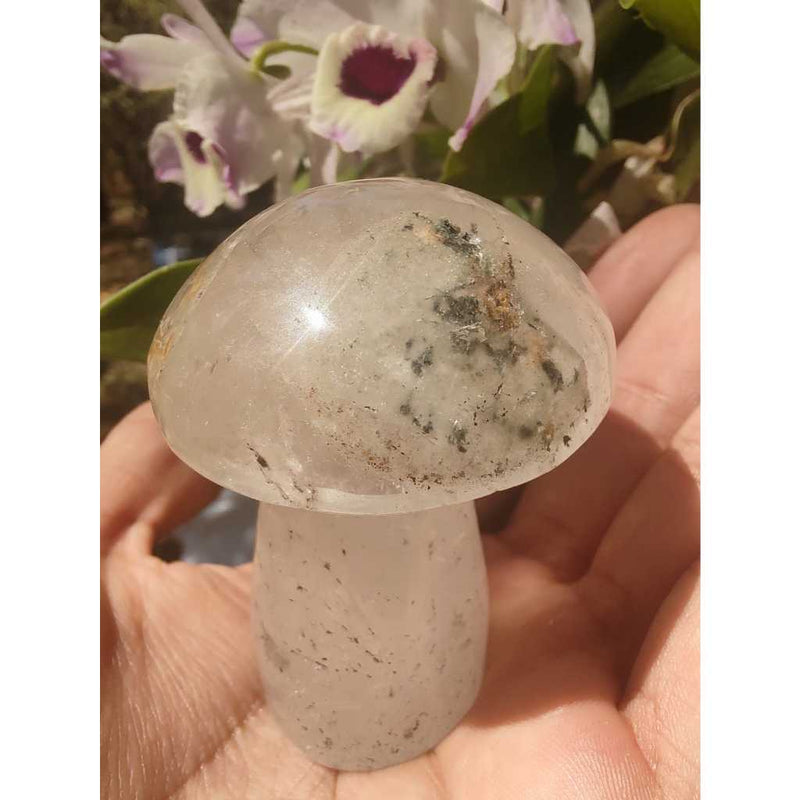 Cogumelo de lodolita verde