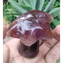 Coqueiro de Super Sete