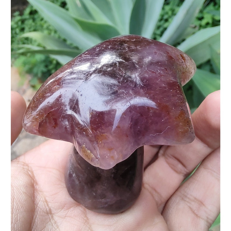 Coqueiro de Super Sete