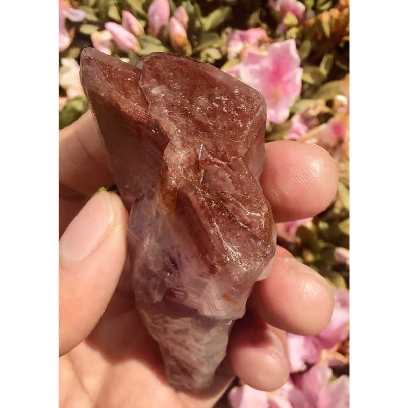 Ponta de Aurelite Chapéu Vermelho Elestial