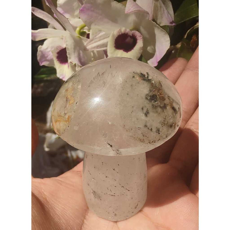 Cogumelo de lodolita verde