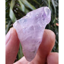 Pontinhas de Ametista Rose de France