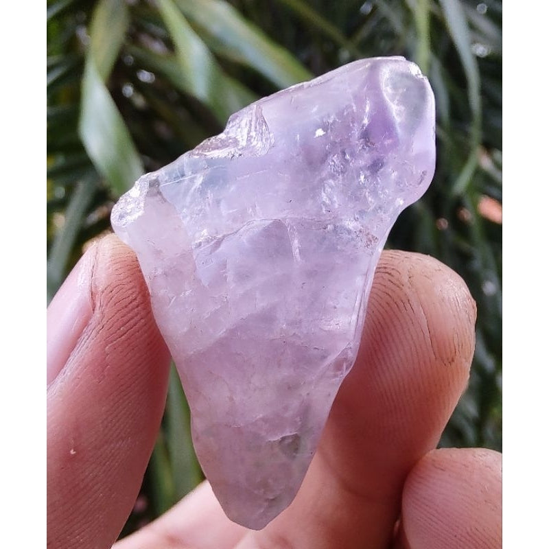 Pontinhas de Ametista Rose de France