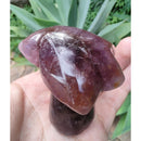 Coqueiro de Super Sete