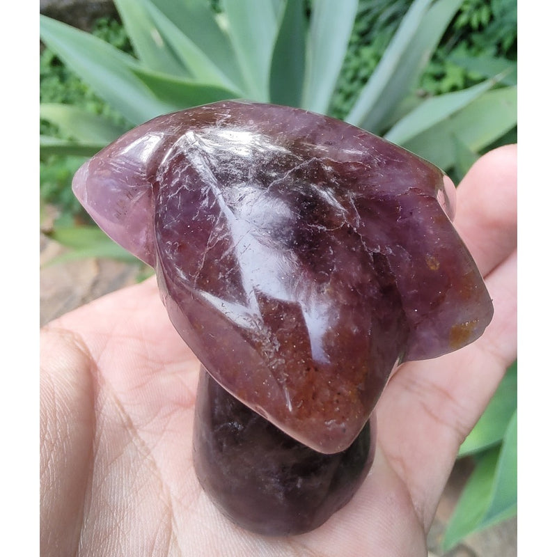 Coqueiro de Super Sete