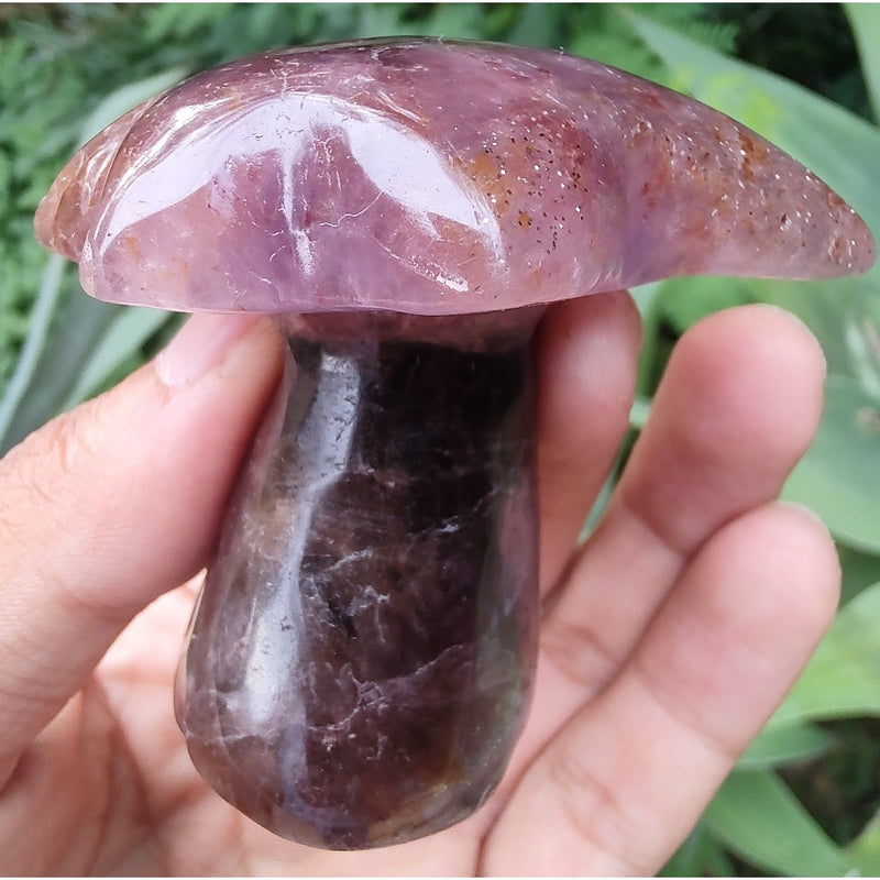 Coqueiro de Super Sete