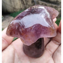 Coqueiro de Super Sete